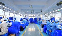 Фацтори Виев